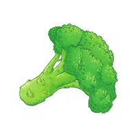 Chinese Broccoli Vegetable Name in English