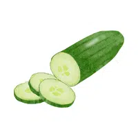 Cucumber Vegetable Name in English