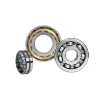 Double Row Ball Bearing | Bearings Names in English
