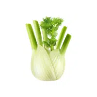 Fennel Vegetable Name in English