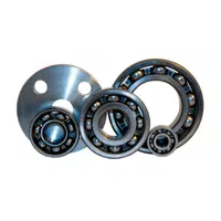 Flanged Bearing Name in English