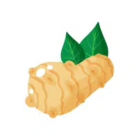 Jerusalem Artichoke | Vegetables Names in English