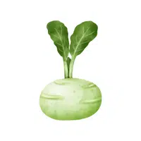 Kohlrabi | Vegetables Names in English
