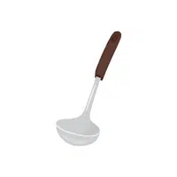 Ladle Word in English