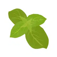 Lamb's lettuce | Vegetables Names in English