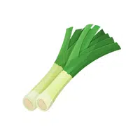 Leek | Vegetables Names in English