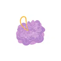 Loofah Word in English