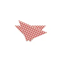 Napkin House Vocabulary Word