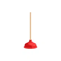 Plunger Word in English