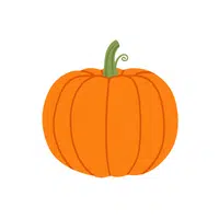 Pumpkin | Vegetables Names in English