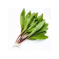 Ramps | Vegetables Names in English