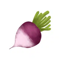 Rutabaga | Vegetables Names in English