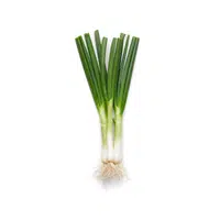 Scallion | Vegetables Names in English