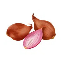 Shallot | Vegetables Names in English