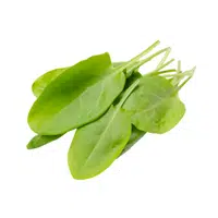 Sorrel | Vegetables Names in English