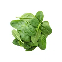 Spinach | Vegetables Names in English
