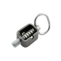 Spring Bolt Lock | Locks names in English