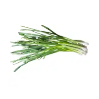 Spring Onion vegetable name in English