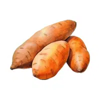 Sweet Potato | Vegetables Names in English