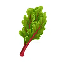 Swiss Chard | Vegetables Names in English