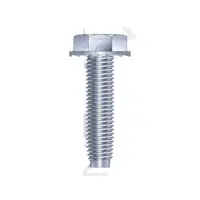 Thread Rolling Screw Name in English