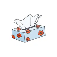 Tissue Box | House Vocabulary Words in English