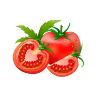 Tomato vegetable name in English