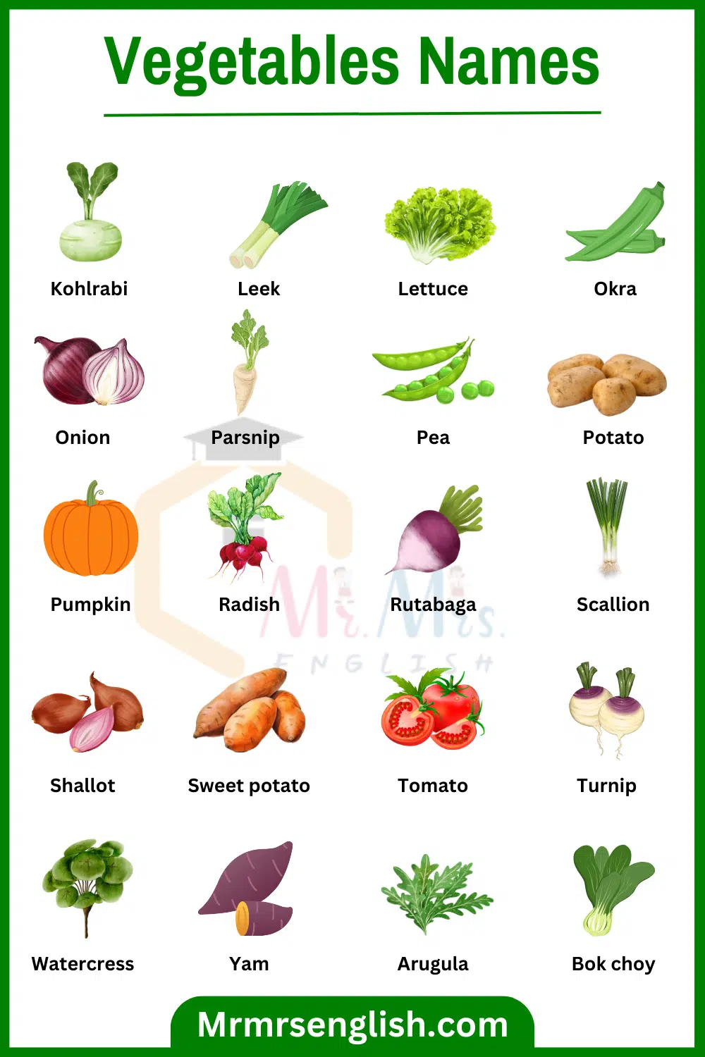 Useful Names of Vegetables