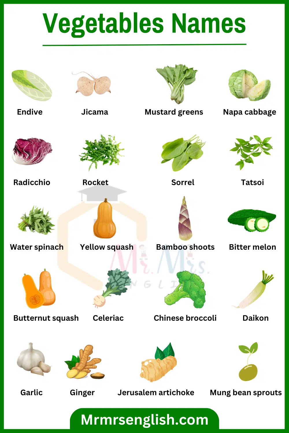 List of Vegetables names