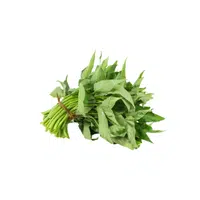 Water Spinach vegetable name in English