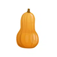 Yellow Squash | Vegetables Names in English