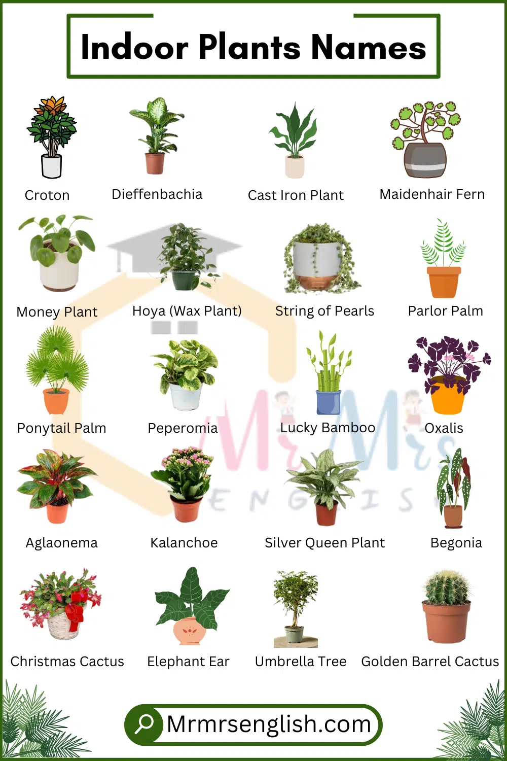 50 most common house plants with Pictures