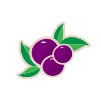 Açaí | Fruits Names in English