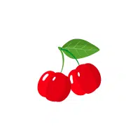 Acerola Red fruit Name in English
