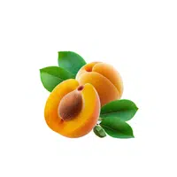 Apricot | Fruits Names in English