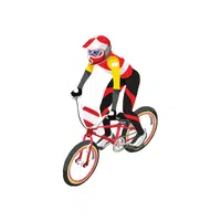 BMX Racing | Sports names in English
