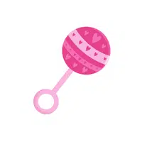 Baby Rattle Kids Toy name in English