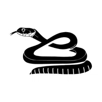 Banded Krait | Snakes names in English
