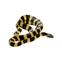 Banded Sea Krait | Snakes names in English