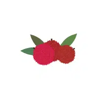 Bayberry red fruit Name in English