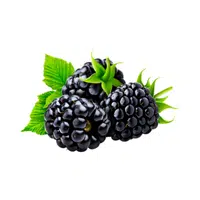 Blackberry | Fruits Names in English