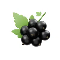 Blackcurrant | Fruits Names in English