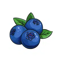 Blueberry | Fruits Names in English