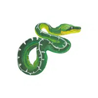 Boa Constrictor Snake name in English