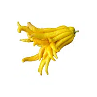 Buddha’s Hand | Fruits Names in English