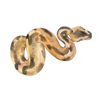 Burmese Python Snake name in English