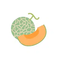 Cantaloupe Fruit Name in English