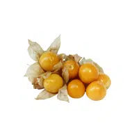 Cape Gooseberry Fruit Name in English