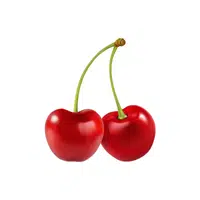 Cherry Fruit Name in English
