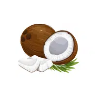 Coconut Fruit Name in English